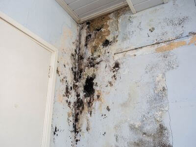 About Water Damage Restoration in Wellington - water damage restoration experts in Wellington